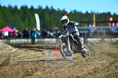 DSC_7347_1600x1067
