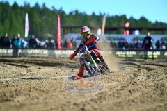 DSC_7353_1600x1067