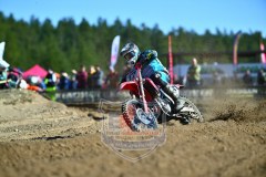 DSC_7744_1600x1067