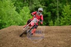 DSC_1688_1600x1067