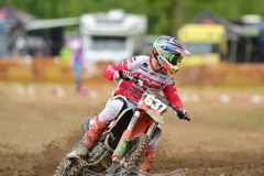 DSC_2185_800x1200