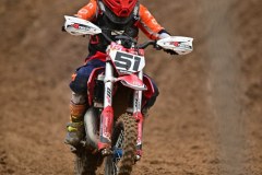 DSC_3362_800x1200