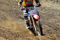 imgp0828