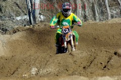 imgp0988