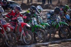 1_18218_822583321191312_2078182481831427580_n