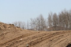 img_0270