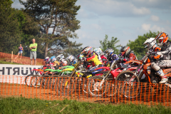 1_11351293_845124898937154_8998607091527702747_n