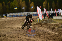 DSC_2958