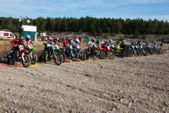 saaremaa-liivakunn-2013